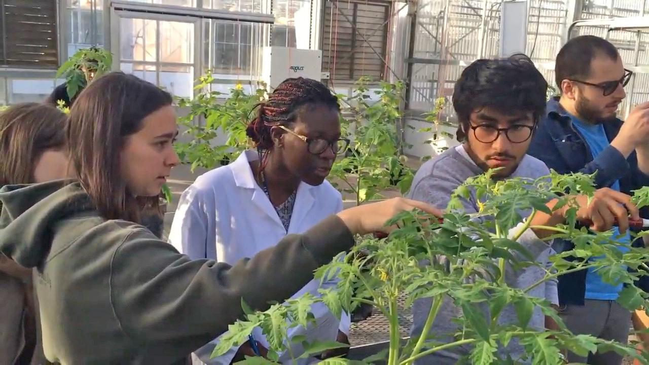 Undergraduate students in a Plant Sciences class at UC Davis