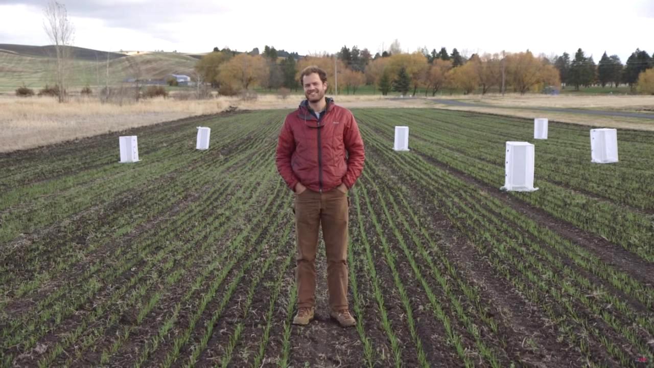 Troy Magney, assistant professor in the Department of Plant Sciences, is just one of the researchers with the Smart Farm Big Idea who are working to turn agricultural data into comprehensible information for farmers.