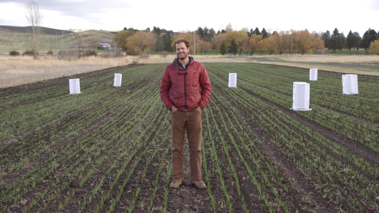 Troy Magney, assistant professor in the Department of Plant Sciences, is just one of the researchers with the Smart Farm Big Idea who are working to turn agricultural data into comprehensible information for farmers. Troy Magney, assistant professor in the Department of Plant Sciences, is just one of the researchers with the Smart Farm Big Idea who are working to turn agricultural data into comprehensible information for farmers.