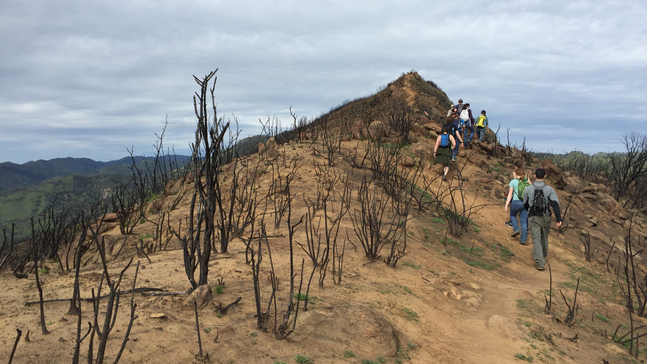 Students in a UC Davis fire ecology class walk along a burned ridge top of Stebbins Cold Canyon Natural Reserve in 2016. (photo Alexandra Weill, UC Davis) Students in a UC Davis fire ecology class walk along a burned ridge top of Stebbins Cold Canyon Natural Reserve in 2016. (photo Alexandra Weill, UC Davis)