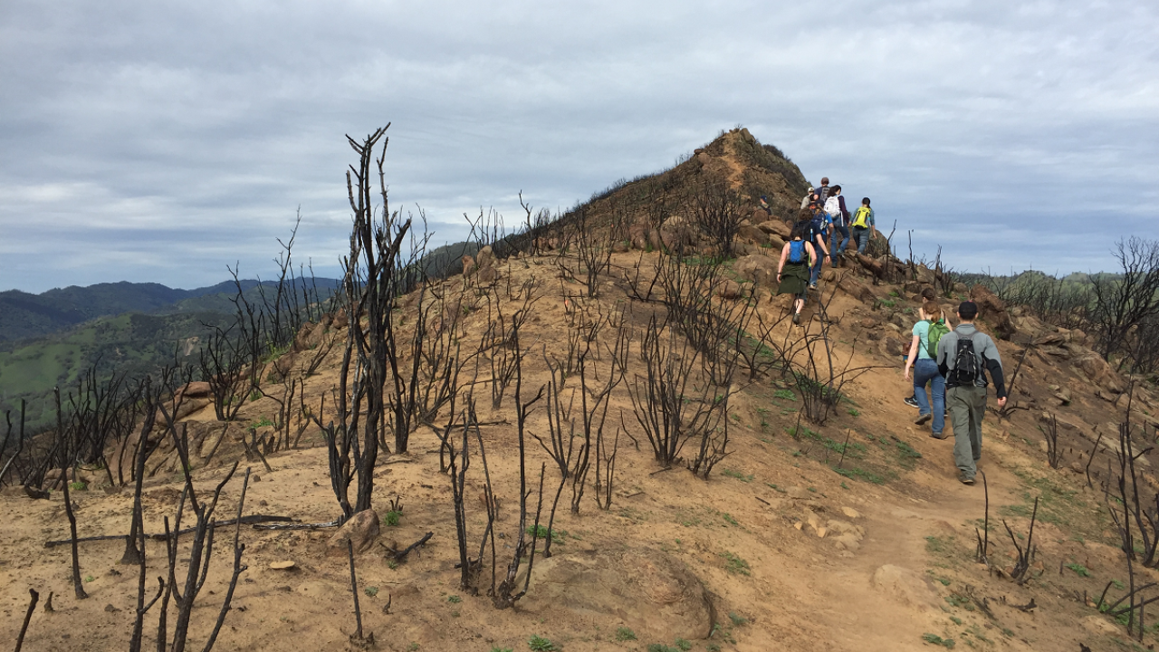 Students in a UC Davis fire ecology class walk along a burned ridge top of Stebbins Cold Canyon Natural Reserve in 2016. (photo Alexandra Weill, UC Davis)