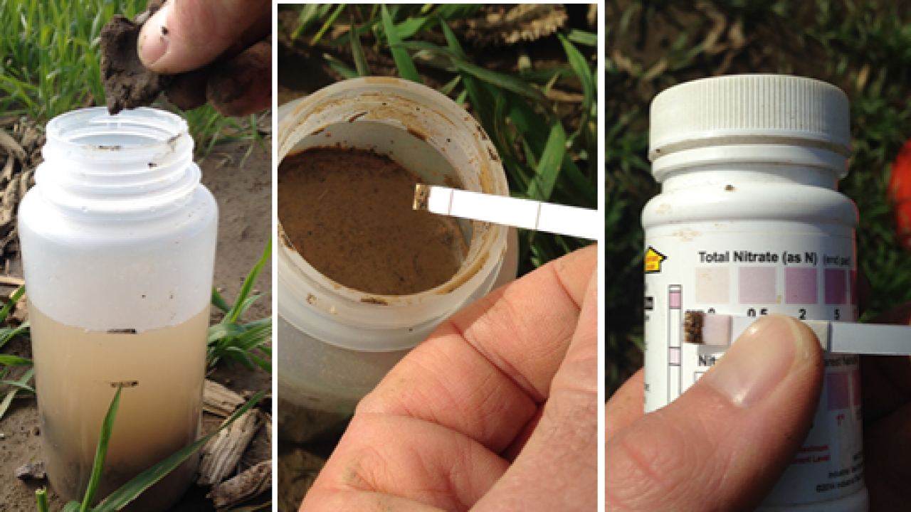 Nitrogen testing supplies