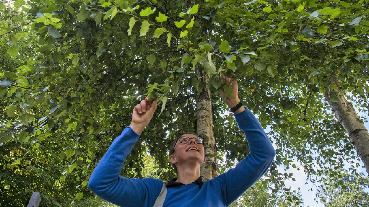 Astrid Wingler, University College Cork, will spend six months as a Fulbright Scholar from Ireland at University of California, Davis. Astrid Wingler, University College Cork