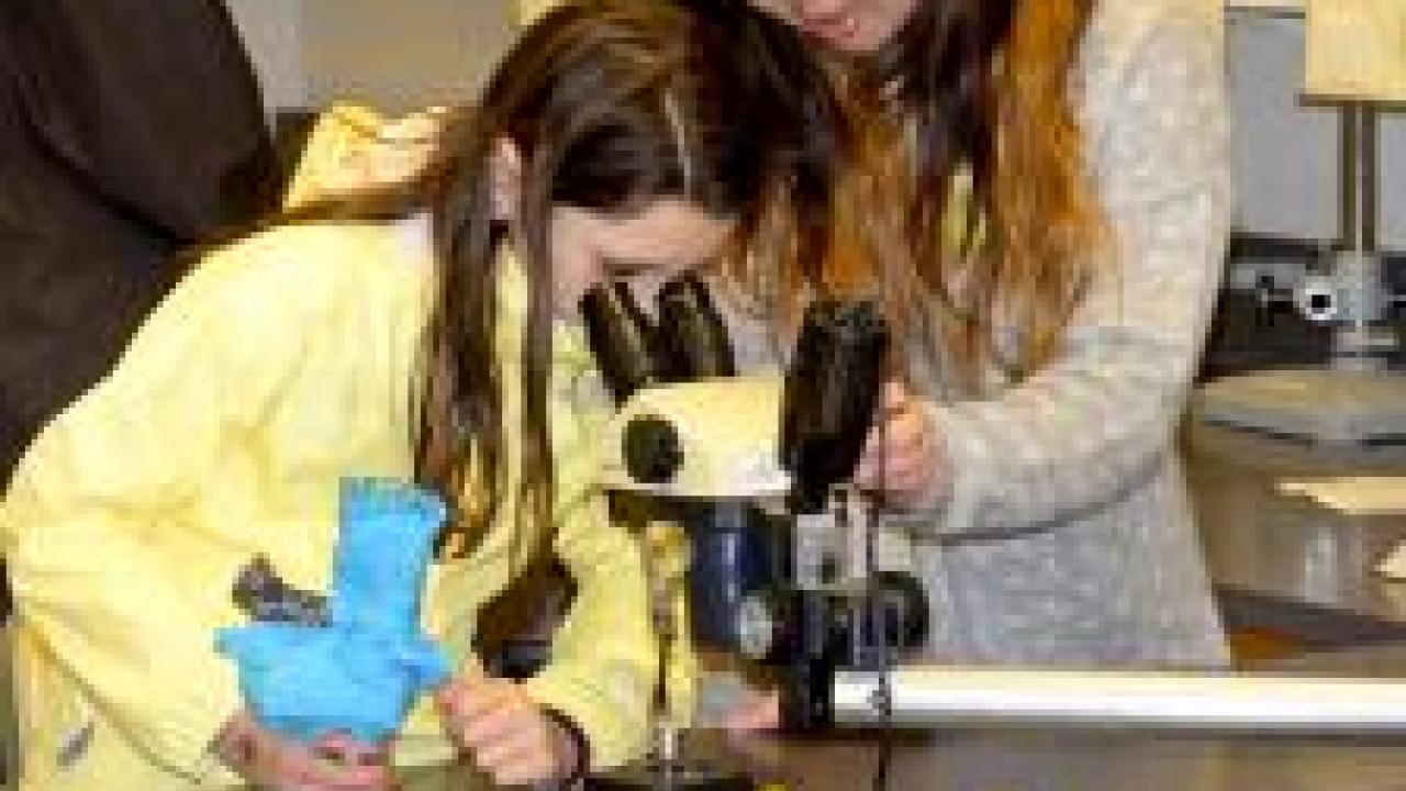 Students looking in microscope