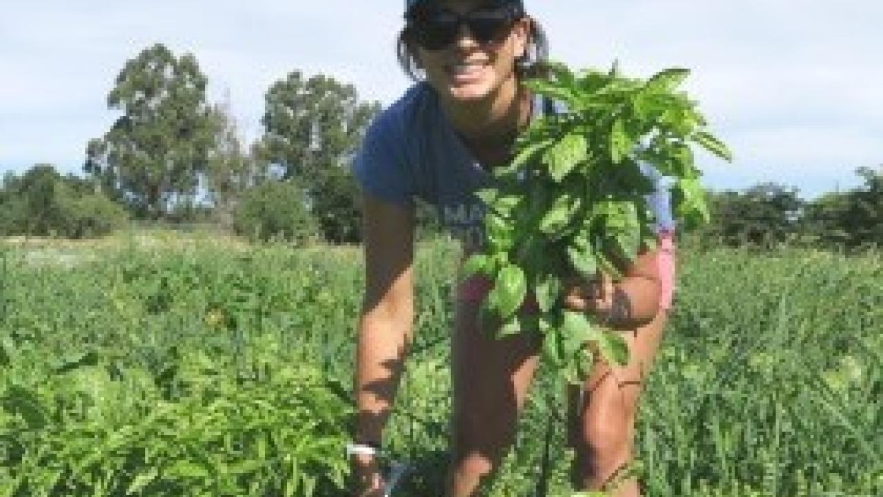 Student working in field
