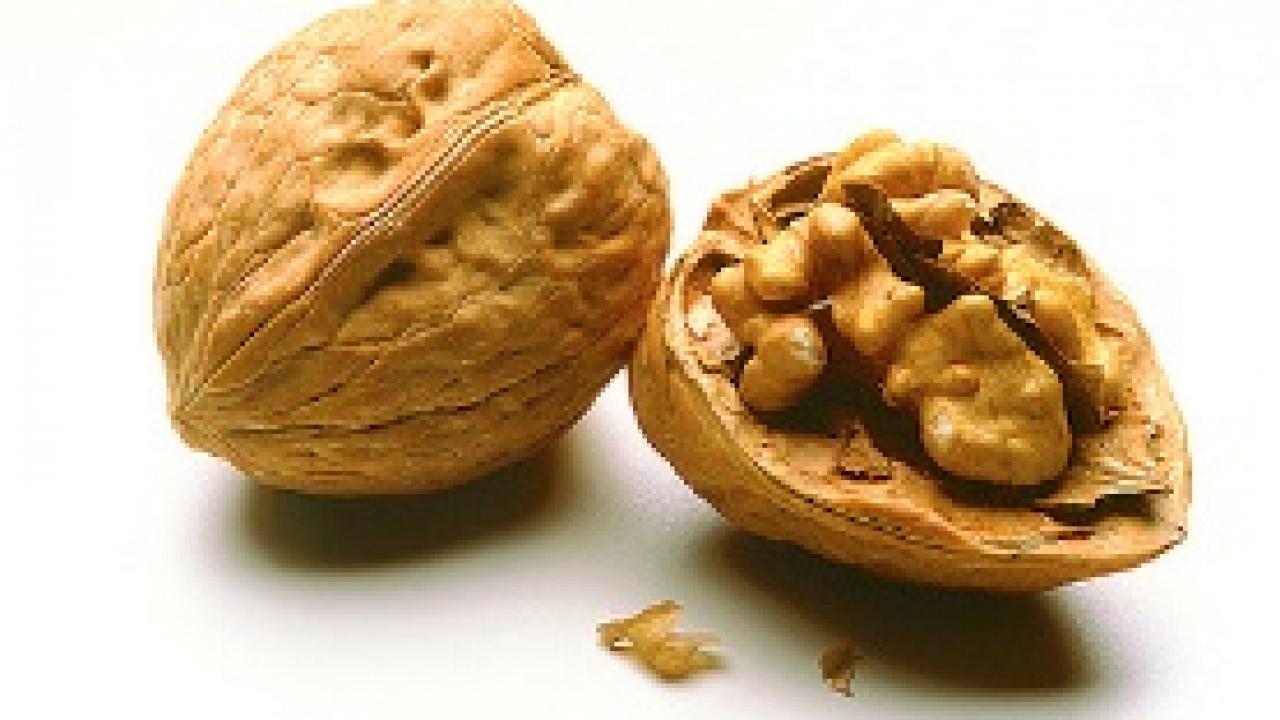 Walnuts in shells