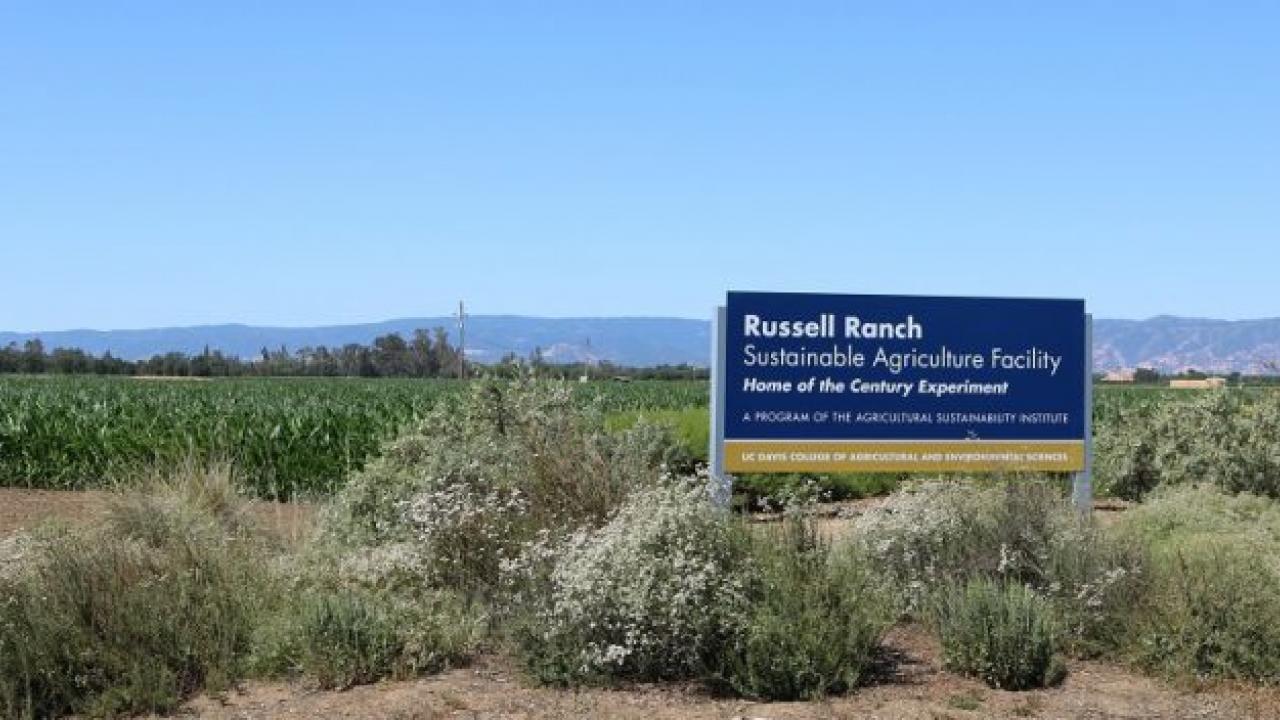 The Russell Ranch Sustainable Agriculture Facility at UC Davis. (photo: Ann Filmer/UC Davis)