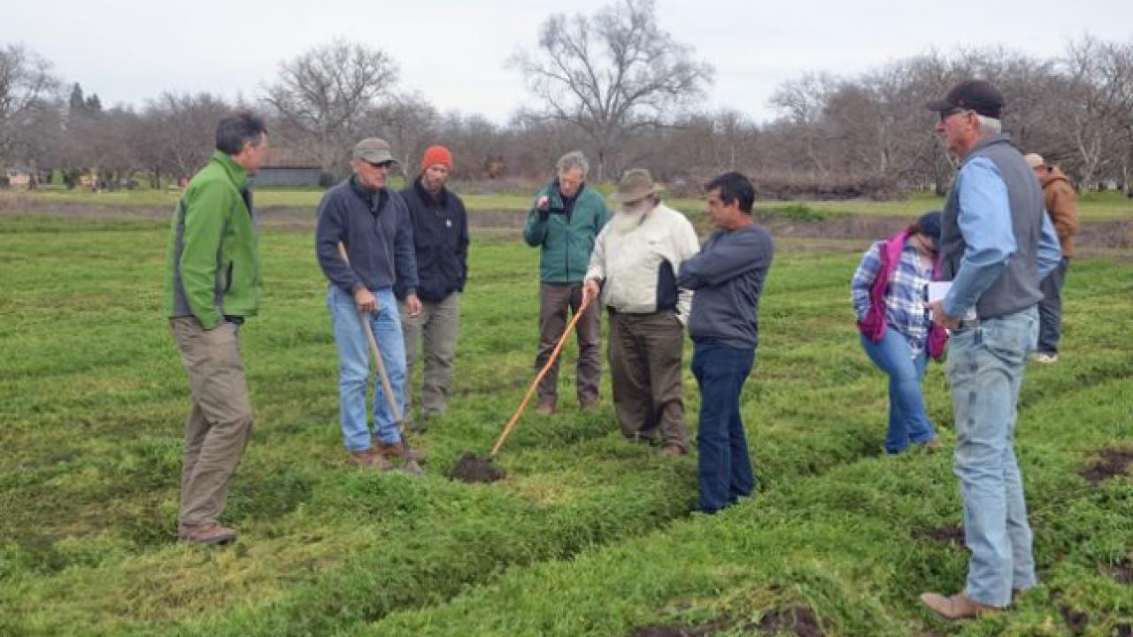 A group of organic farmers are working with UC researchers to minimize tillage and optimize soil characteristics on their farms.
