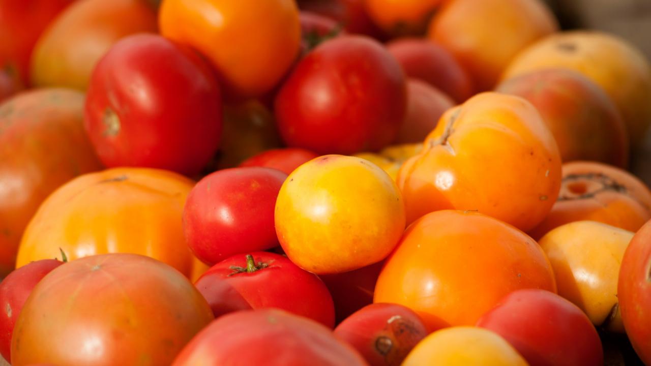 Tomatoes of different shades are lazily piled into a small heap.