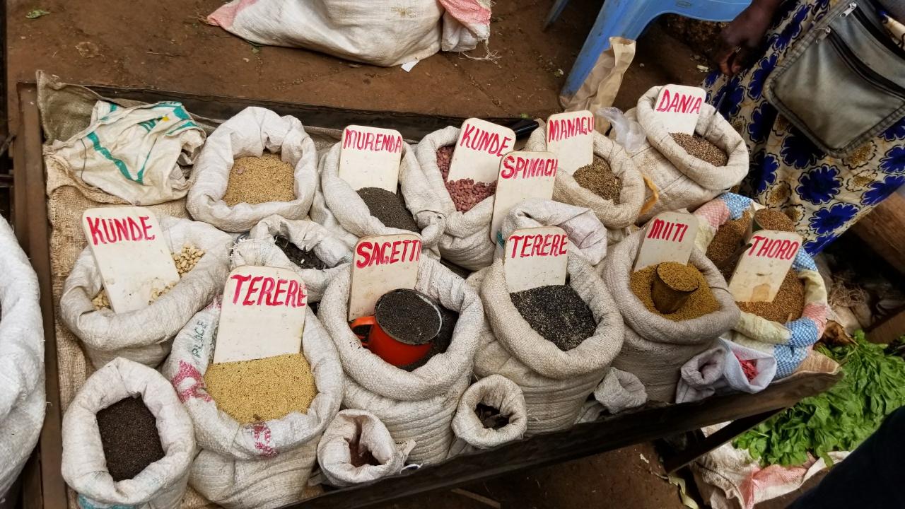 Rows of gunny sacks, open and the ends rolled down, hold seeds and little hand-written signs with the names of the seeds.