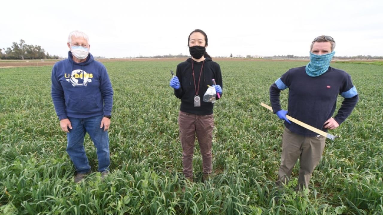 Jeffrey Mitchell, Faye Duan and Maurice Pitsky stand side-by-side in a field.