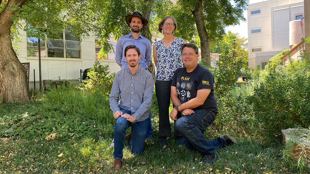 Three men and a woman stand in a tree-filled courtyard