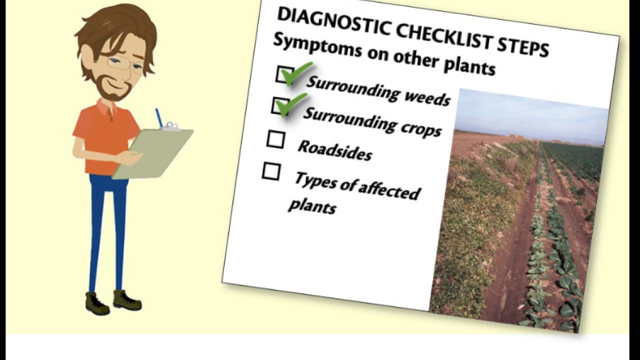 Cartoon man stands near a checklist that includes a photo of a sick-looking plant.