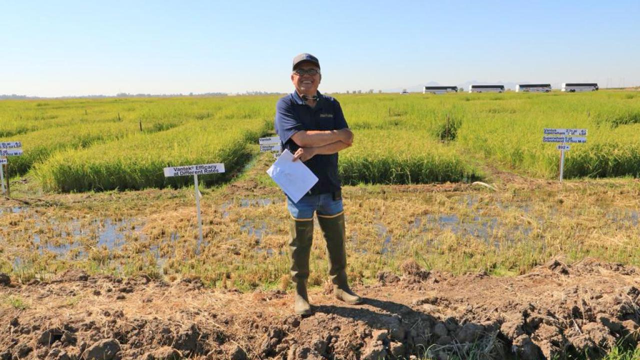 Man standing in a sunny area. Behind him is short green grass, which is standing in shallow water.