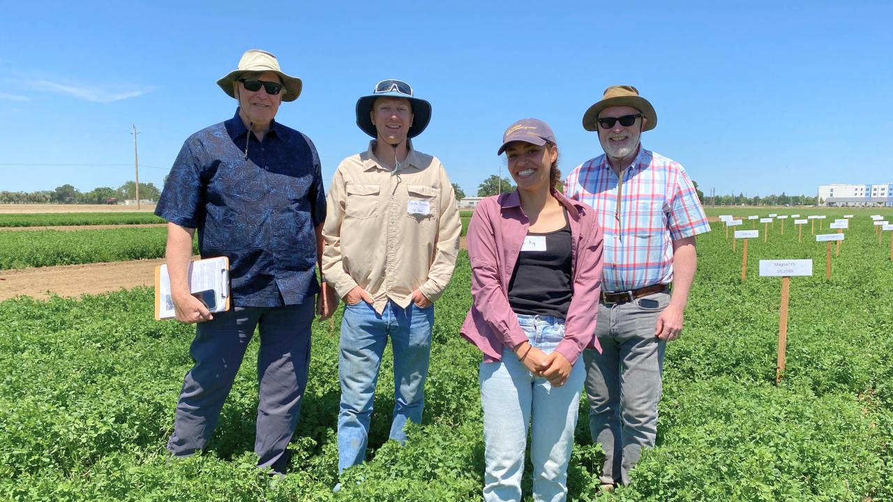 From left are Dan Putnam, Charles Janssen, Cree King and Charlie Brummer, of the UC Davis Department of Plant Sciences. Their research on alfalfa looks at protein, deficit irrigation strategies and breeding to make the crop even more resilient amid water scarcity. (Trina Kleist/UC Davis)
