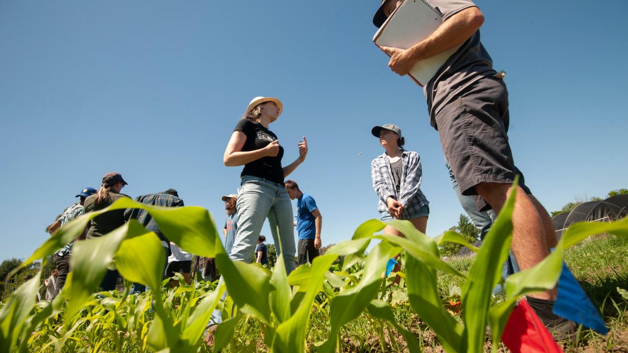 Young men and women focus on a woman in a hat as they stand in a field of leafy greens