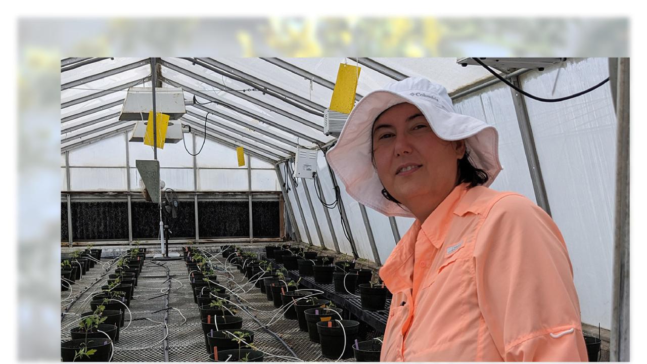 Woman in a greenhouse with very small tomato plants