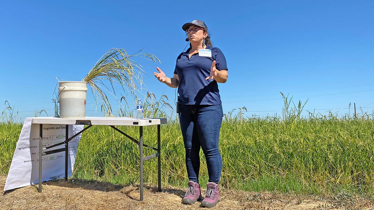 A woman in front of a rice field, next to a table, speaking