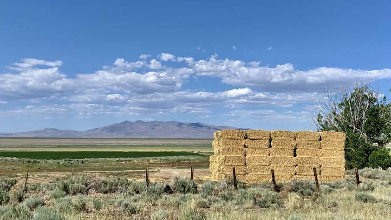 An expansive semi-arid landscape with bales of alfalfa in the foreground and mountains and clouds at the horizon