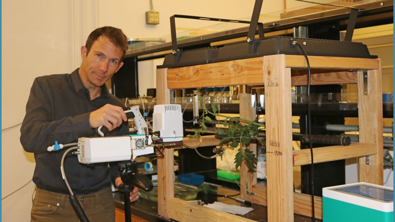 Man stands next to machine holding a plant