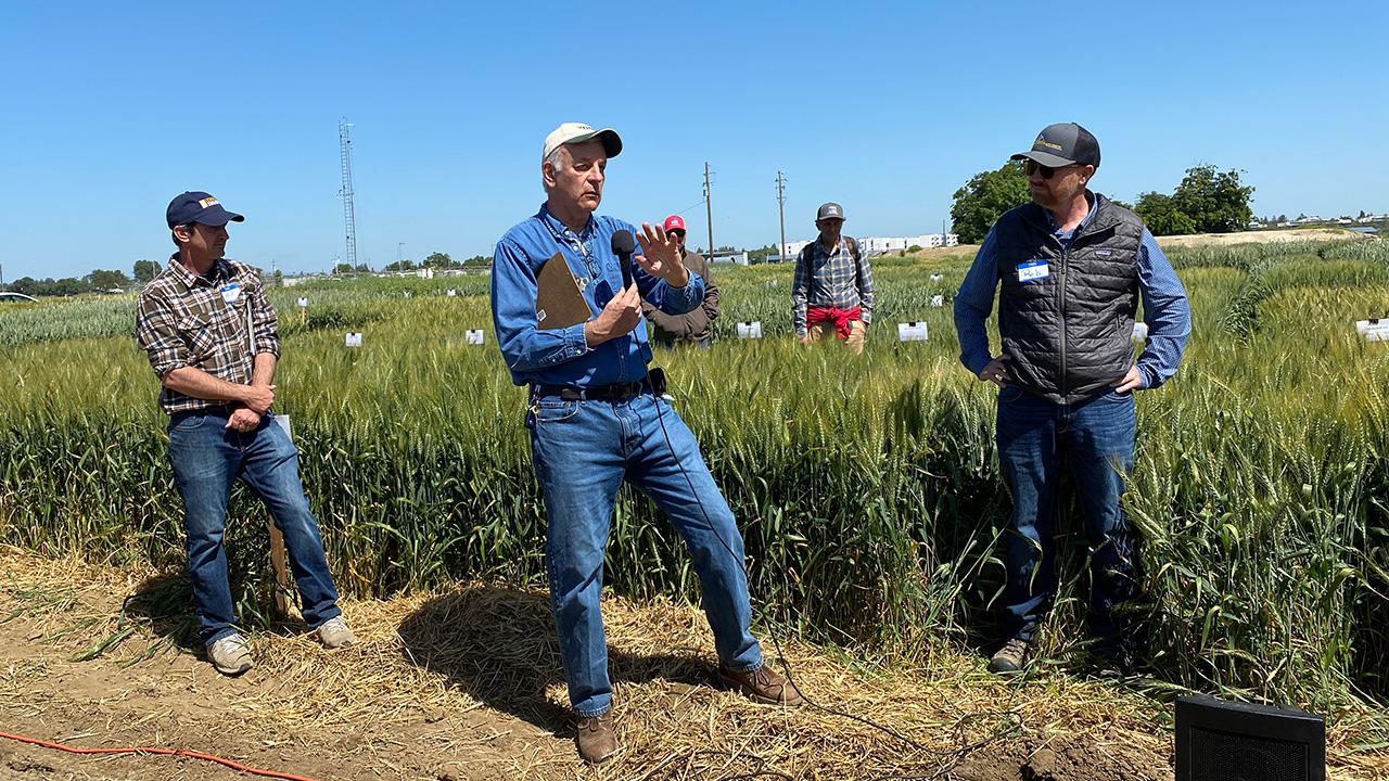 Three men standing in front of tall golden grass. The one in the center is holding a microphone and talking.