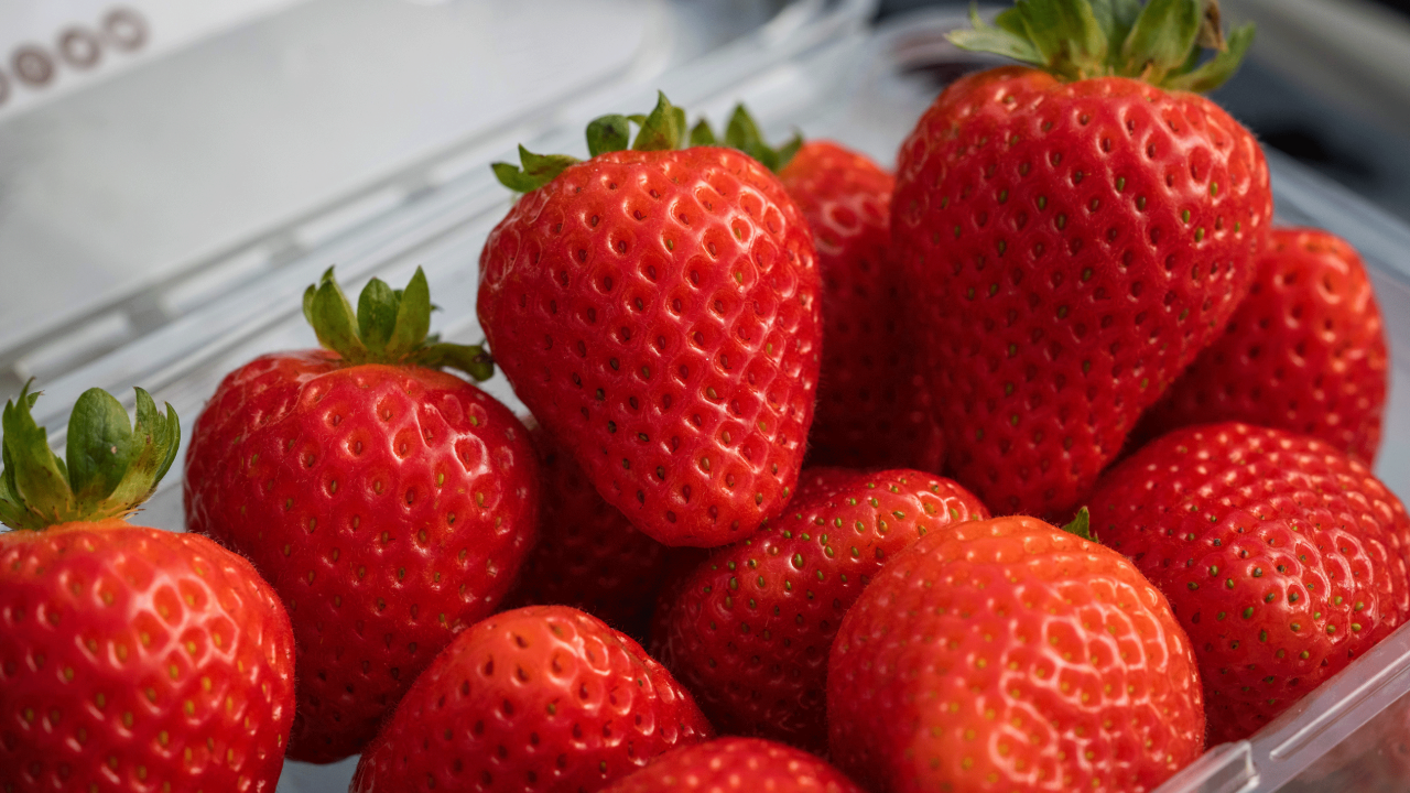 Close-up of several luscious, shiny, red strawberries