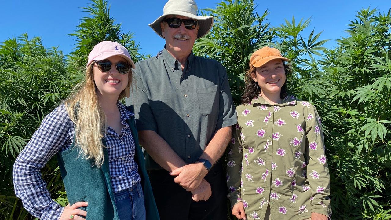 Two women and a man standing in front of cannabis plants in a field