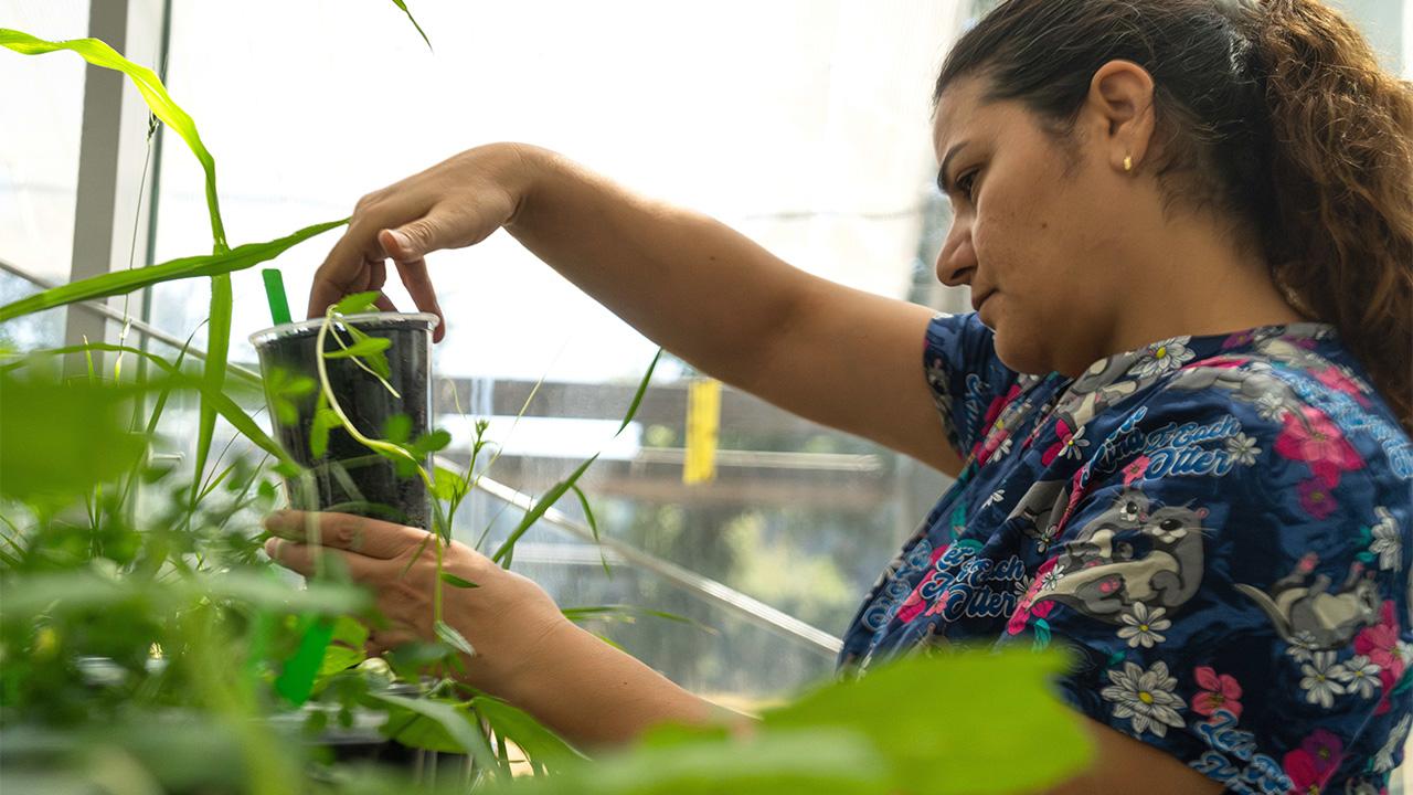 close-up of a woman in a lab with green plants