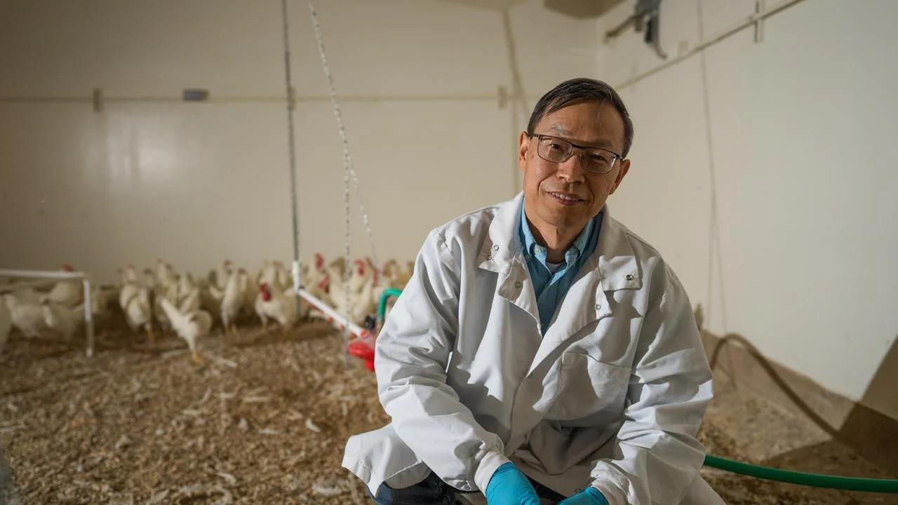 Man crouches in lab coat and glasses. There are chickens in the background.
