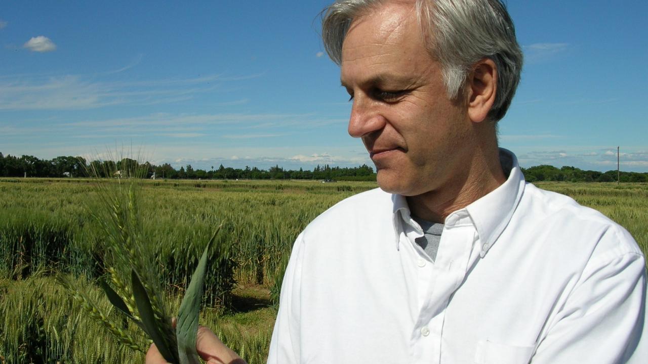 Jorge with wheat