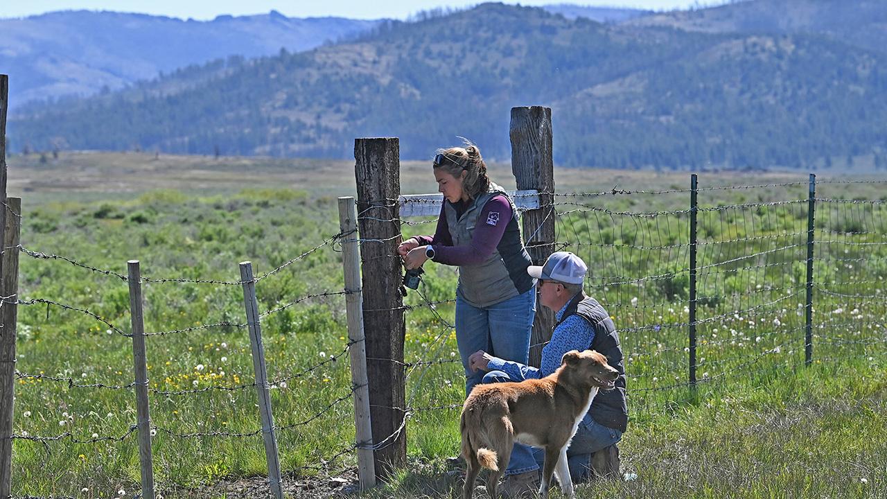 A woman and a man, with a dog. They are on a broad, open pasture, surrounded by mountains