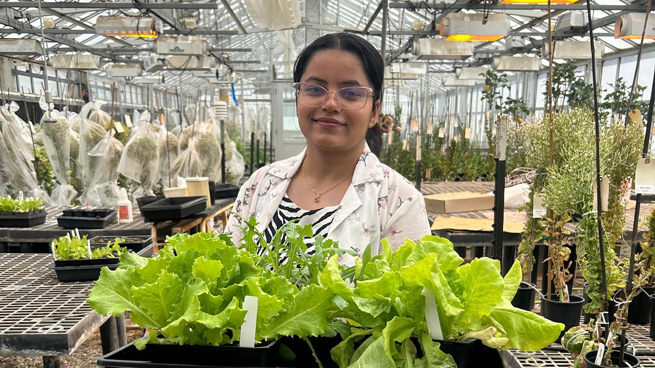 Young woman in a greenhouse, wearing a white lab coat and holding a large tray of bright-green leafy plants.