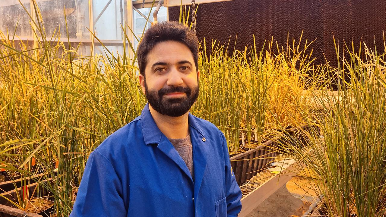 Man standing in front of green-fronded plants inside a greenhouse