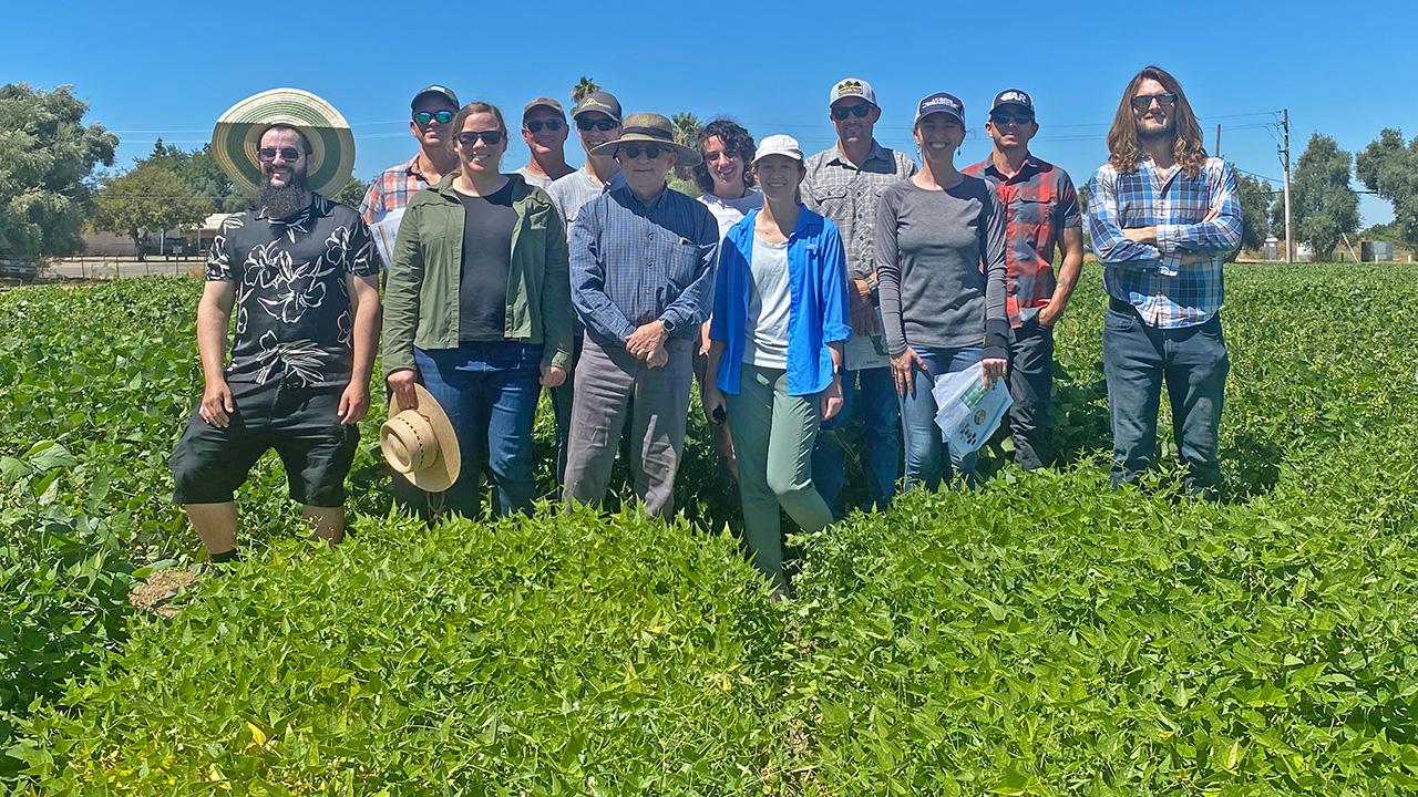 A large group of people standing together in an open field with low bushy green plants.