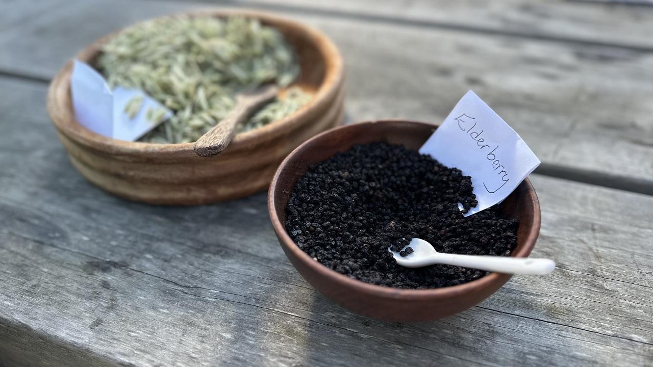 Two bowls of native foods, one labelled as elderberries