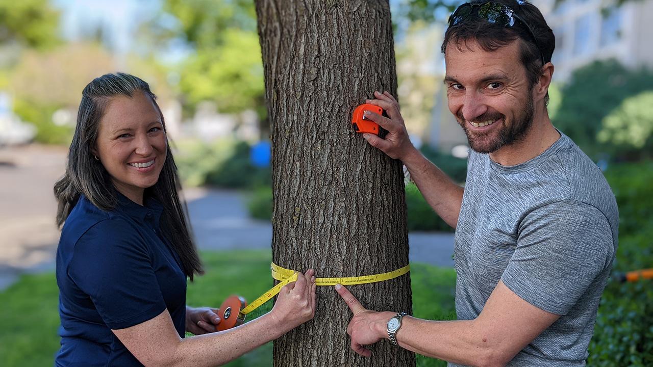 A man and a woman close to a tree trunk, with a tape measure around it. Smiling at the camera.