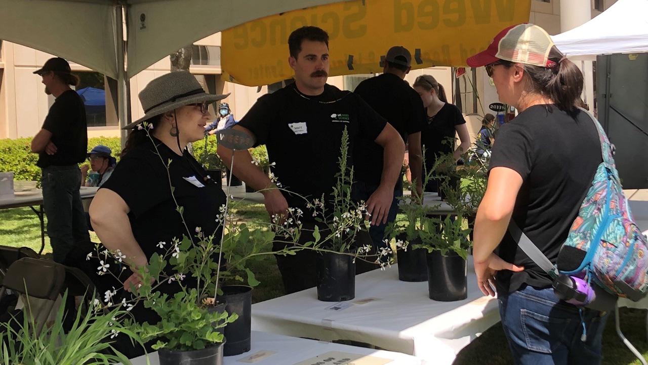 People talking under a tent. Plants in foreground