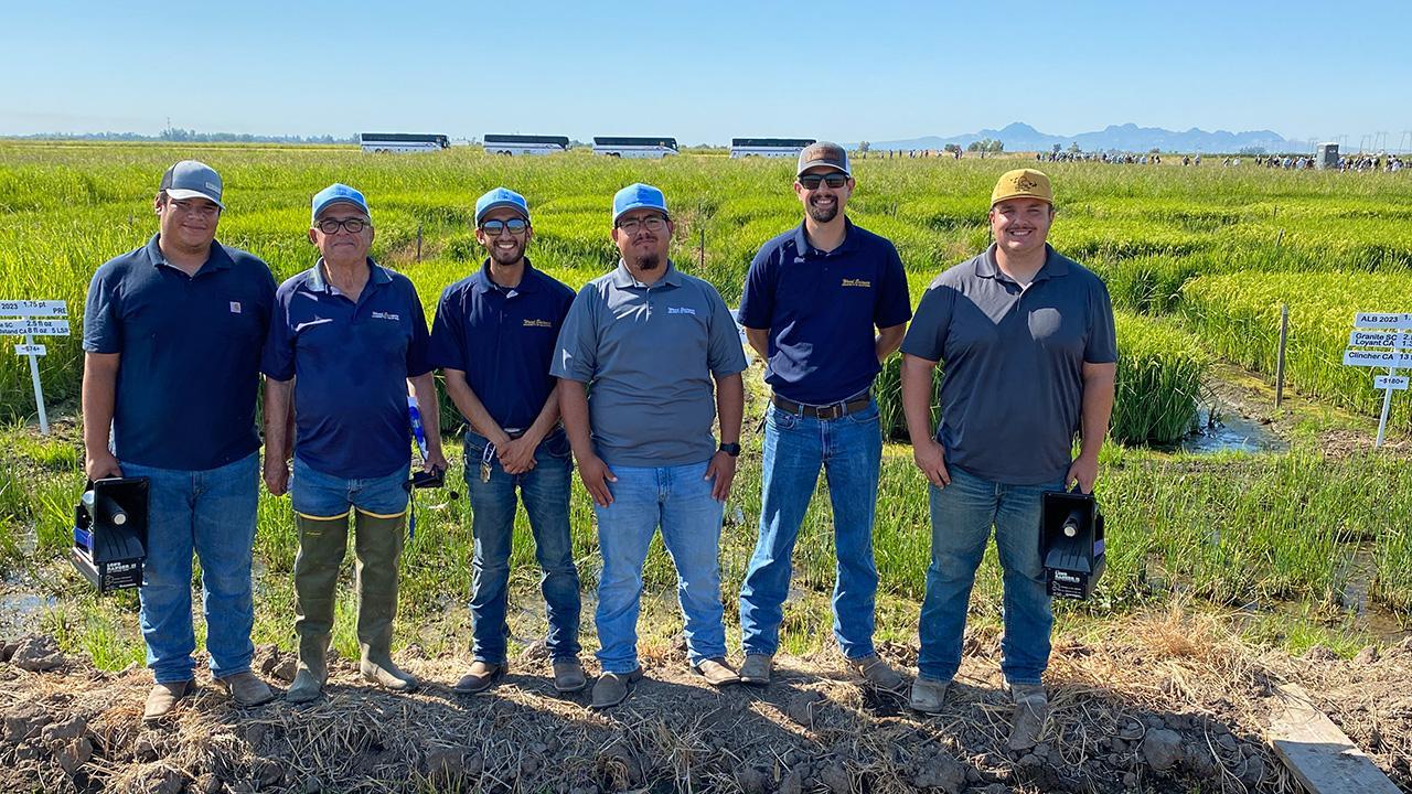 Six men standing in front of a broad field of tall green grassy plants. Blue sky above