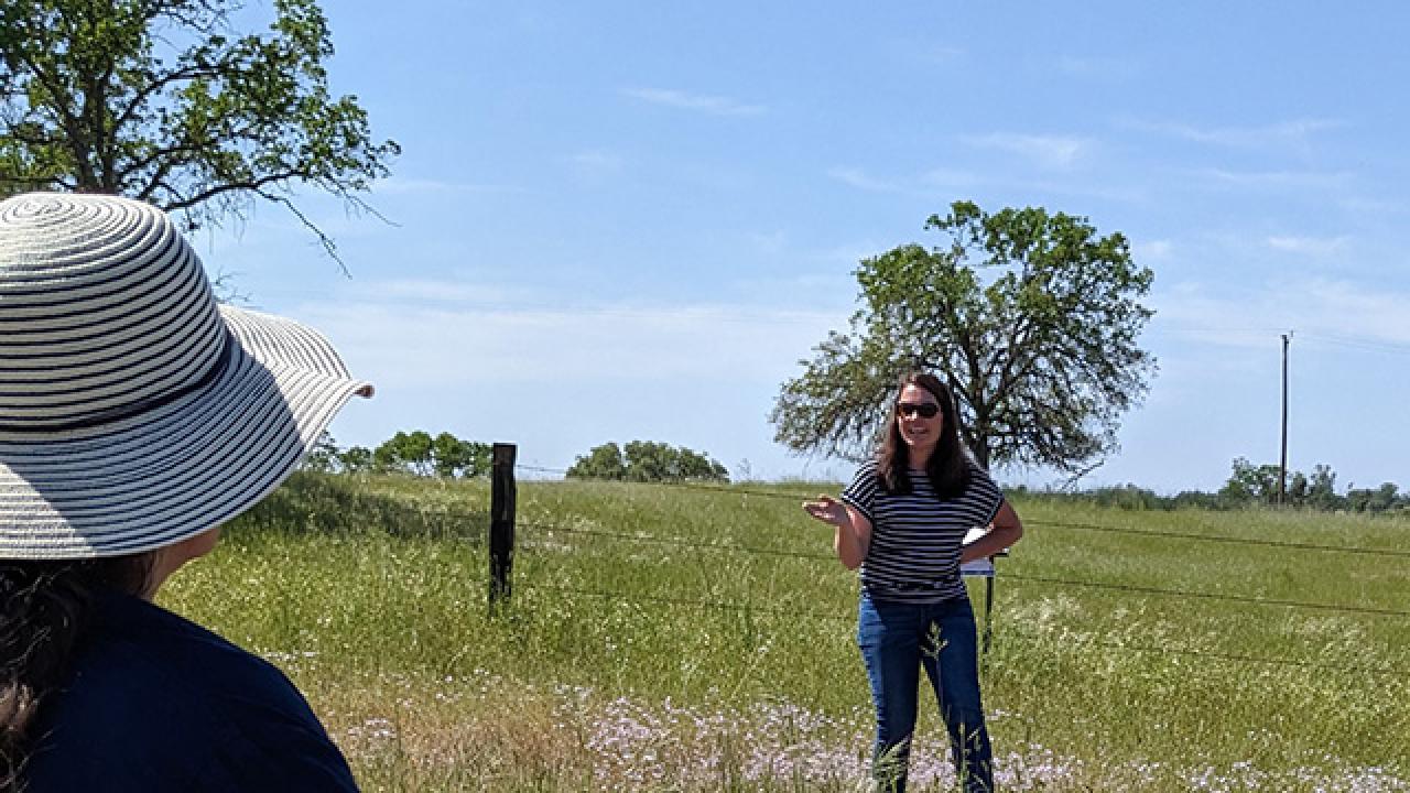 A woman in a pasture, speaking. An observer is to one side, back facing us.