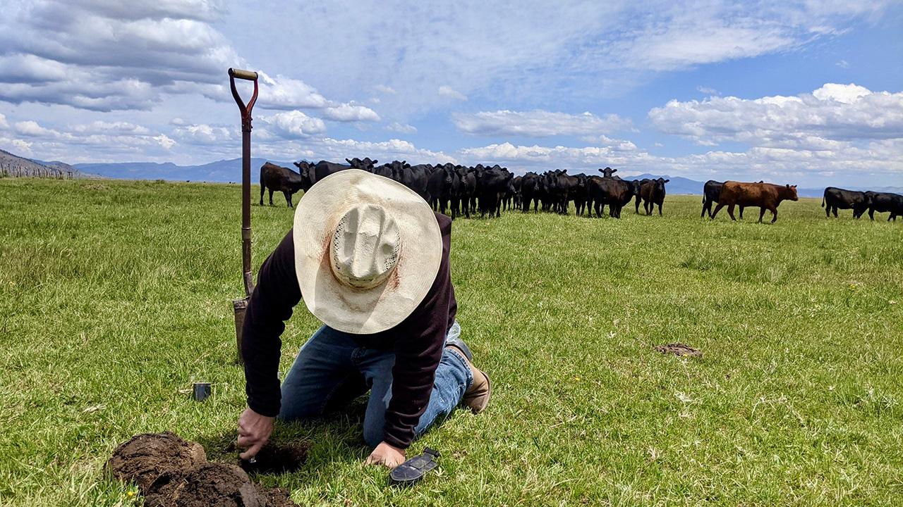 A broad pasture with mountains in the background and dramatic clouds in a blue sky. A man wearing a white cowboy hat holds a shovel in his hand and is stooped down, looking at the ground.