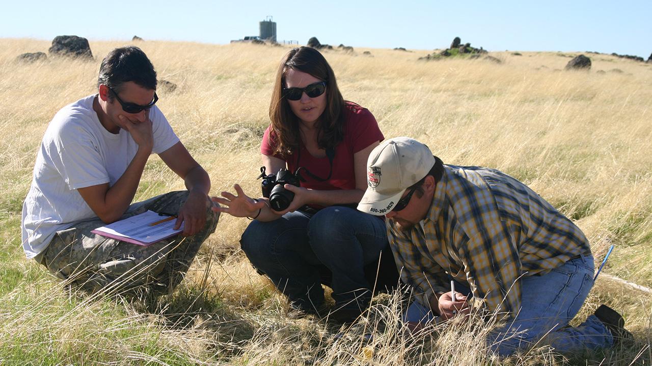 Woman talking to two men. All three are squatting in a field of low, dry grass, with farm buildings at the horizon.