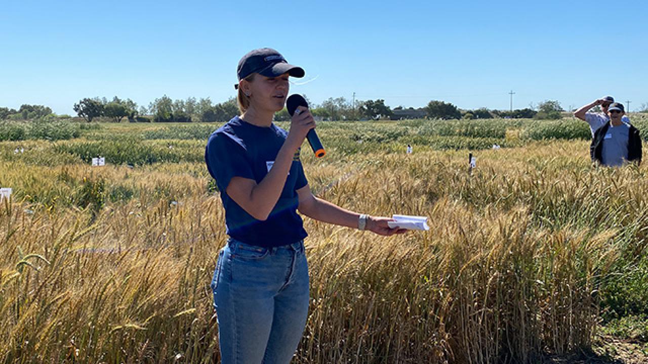 A woman wearing a ball cap and standing in front of golden grain in a field.