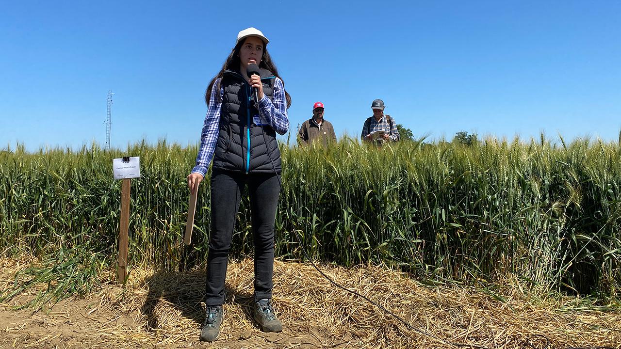 A woman standing in front of a field of grain, with blue sky above