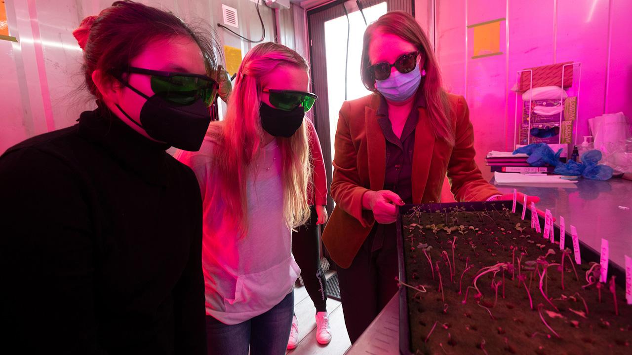 Three women wearing goggles inside a small room with reddish-purple light look at plant sprouts growing in a tray.