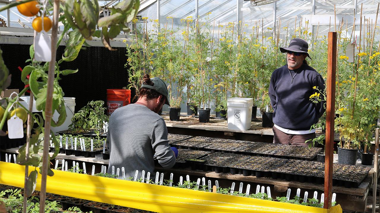 Two man in a greenhouse filled with plants