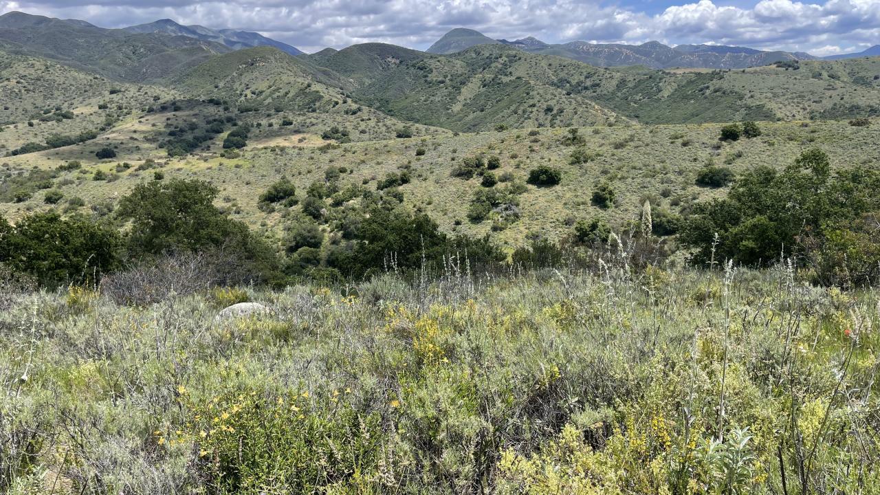 Picture of green field and mountains
