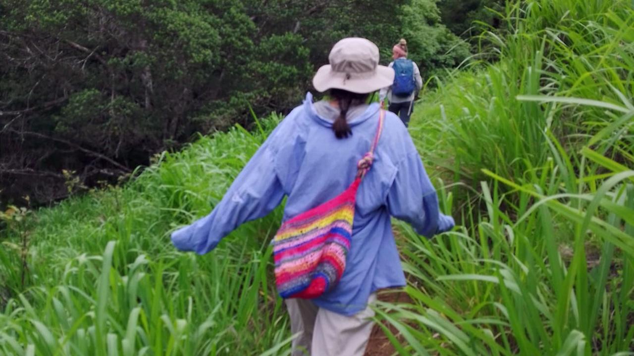 From the back, we see a woman in a flowing lavender shirt, hat and pink backpack walking through tall green grass toward dense dark-green trees.