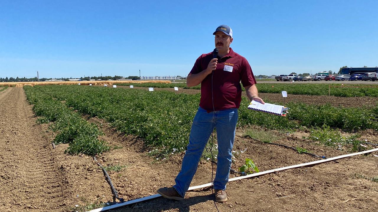 man standing in a field against a blue sky