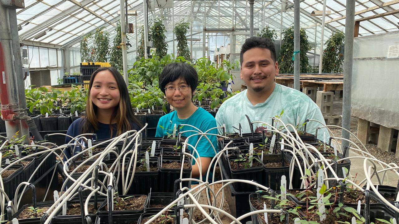 Three young people in a greenhouse, with seedlings in front of them