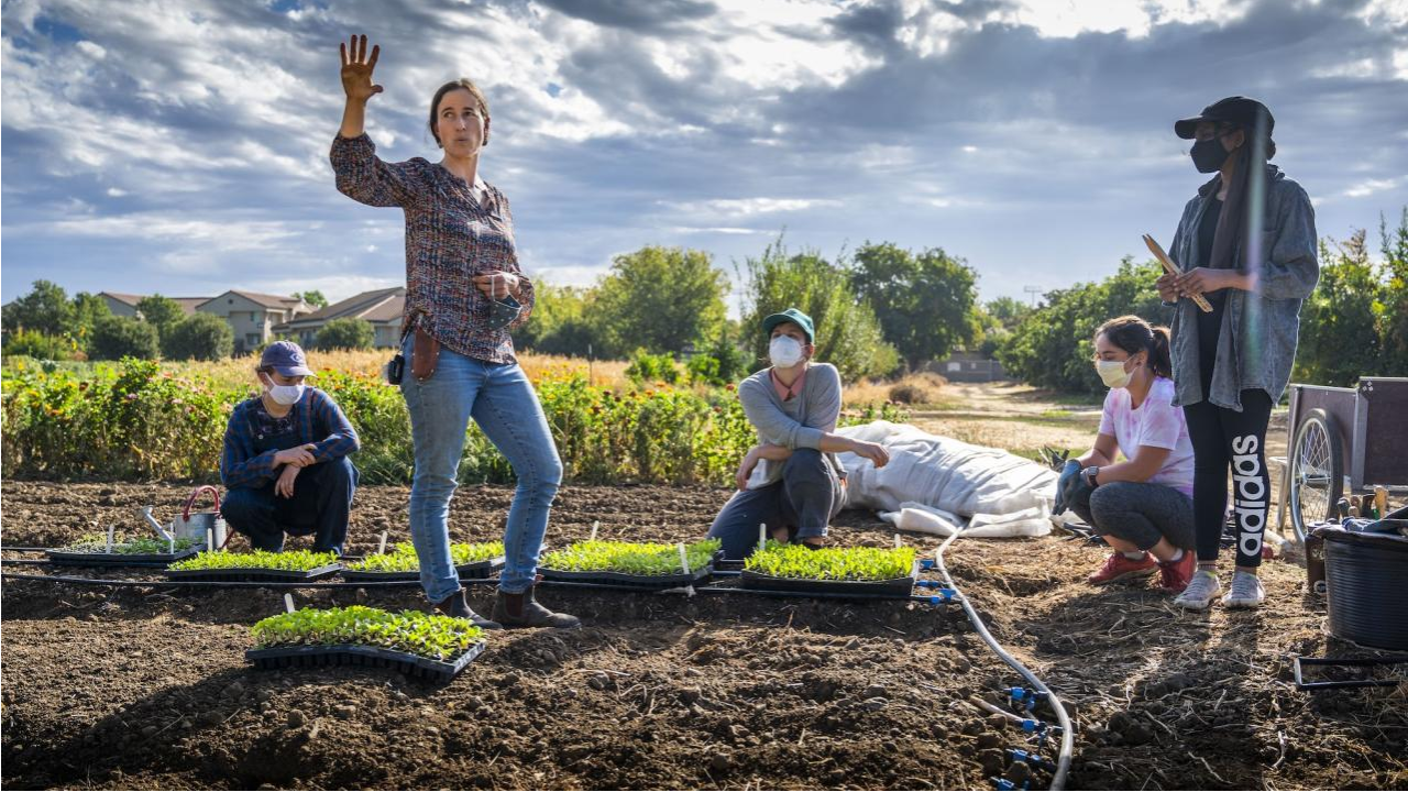 Julia Schreiber, UC Davis Student Farm lead gardener, in 2021.